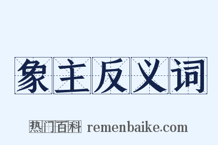 象主反义词是什么意思的图片